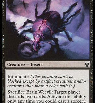 Brain Weevil [The List] For Discount