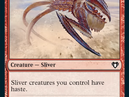 Blur Sliver [Commander Masters] Online