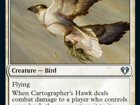 Cartographer s Hawk [Commander Masters] For Cheap